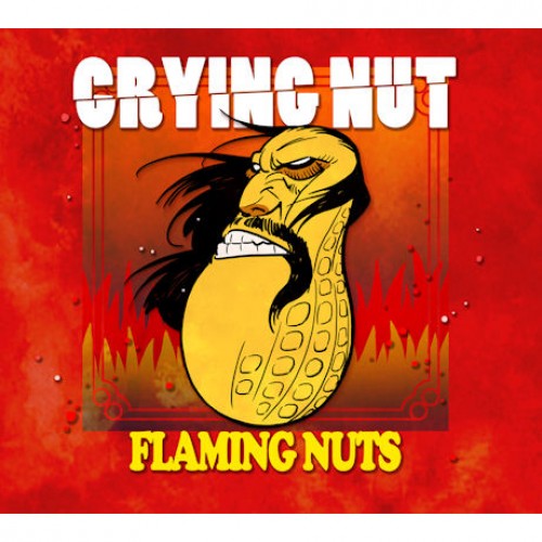 CRYING NUT(크라잉넛) - FLAMING NUTS