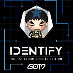 GOT7(갓세븐) - IDENTIFY: USB ALBUM [재범]