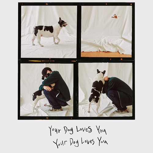 COLDE(콜드) - YOUR DOG LOVES YOU