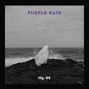 PURPLE RAIN(퍼플레인) - 작품번호 1번(OP.01)