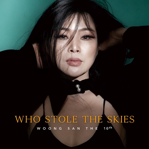 웅산(WOONG SAN) - WHO STOLE THE SKIES